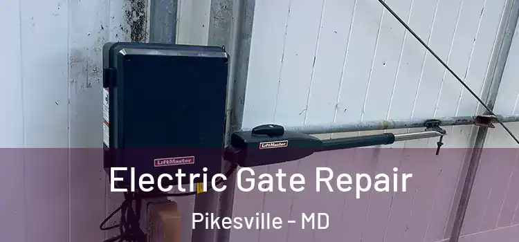  Electric Gate Repair Pikesville - MD